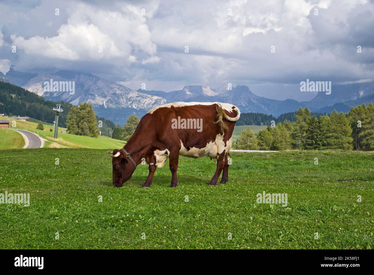 Alpe di Siusi Foto Stock