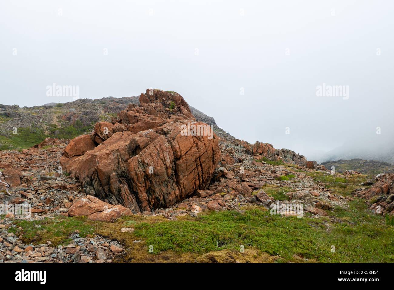 Grande roccia colorata sull'isola di Leka in Norvegia Foto Stock