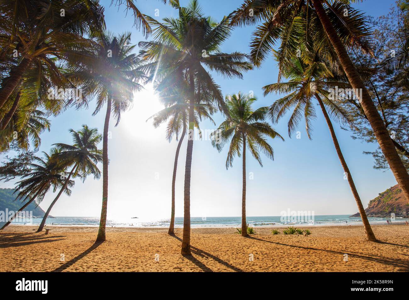 Vista idilliaca del sud dell'India su una spiaggia soleggiata a Karnataka (o Kerala, Andhra Pradesh, Goa, Tamil Nadu,) rilassamento nei mesi invernali e spr Foto Stock