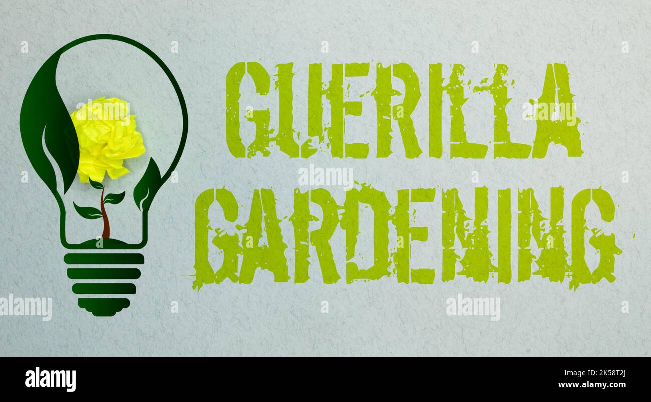 Giardino fiorito tetto di sedum su un tetto scorrevole in estate in un ambiente urbano. Foto Stock