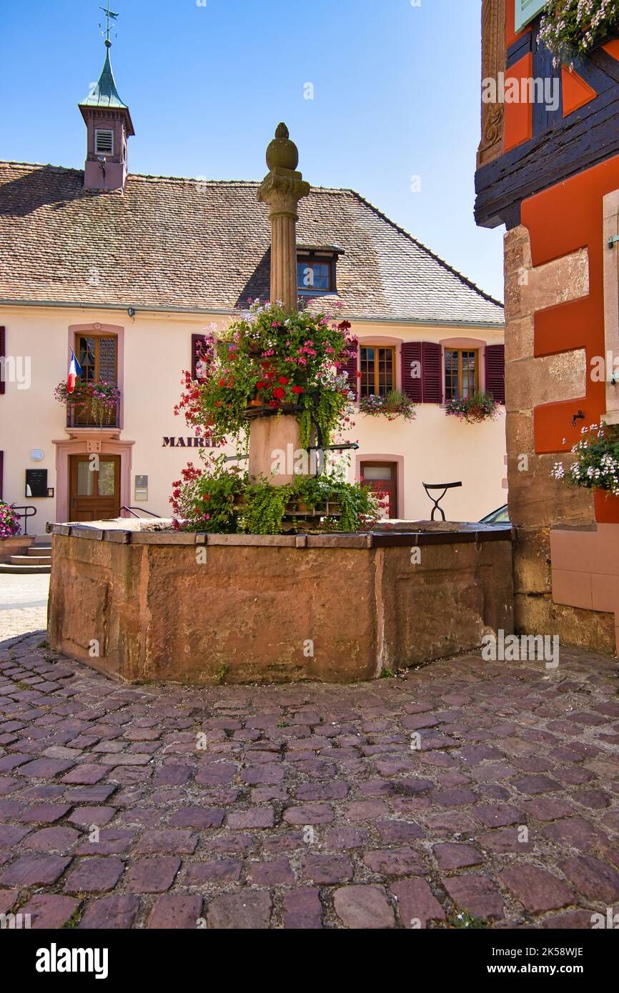 Fontana con vista sul municipio Foto Stock
