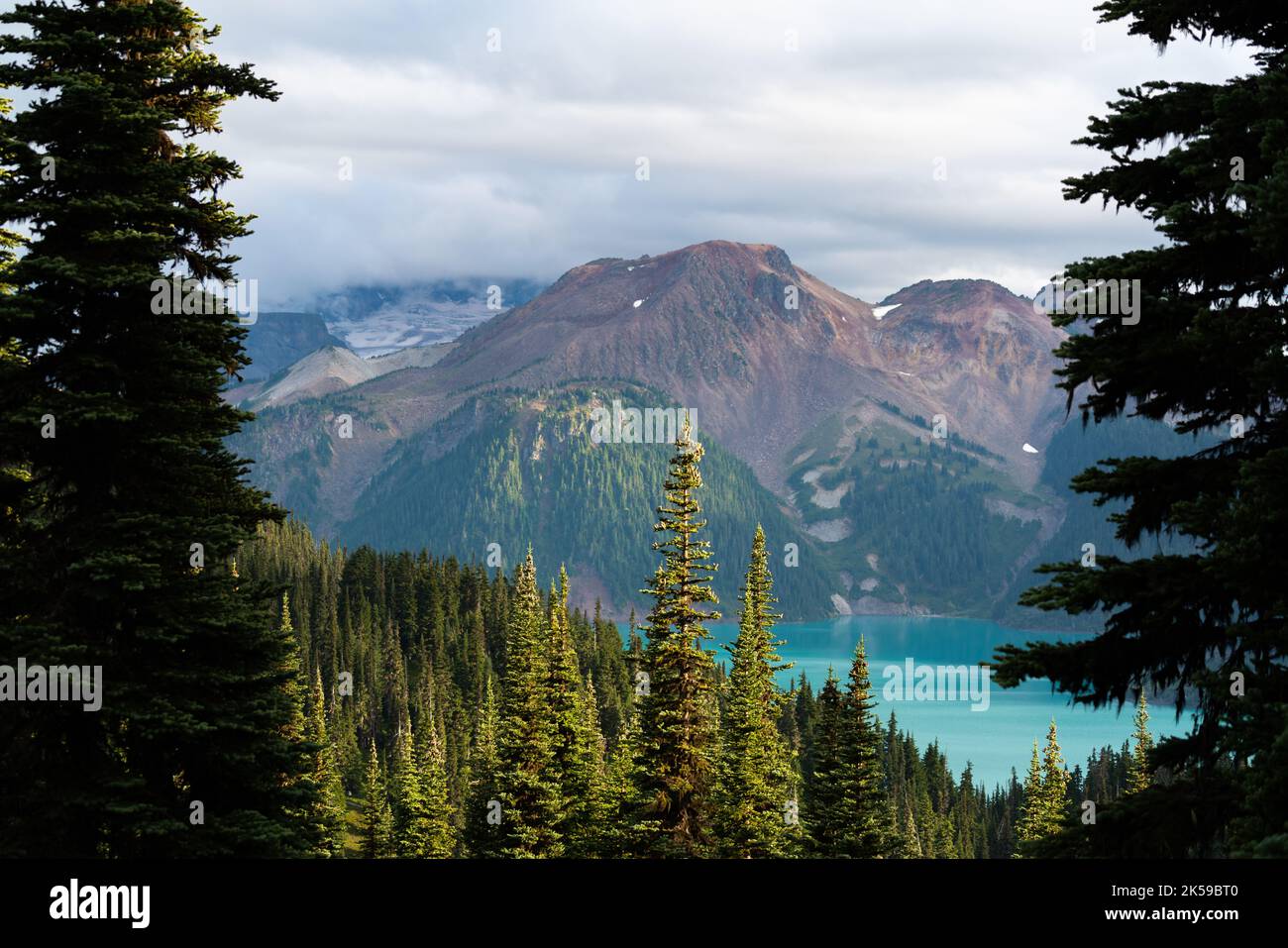 Vista sul Lago Garibaldi attraverso i pini lungo il sentiero del crinale Panorma. Foto Stock