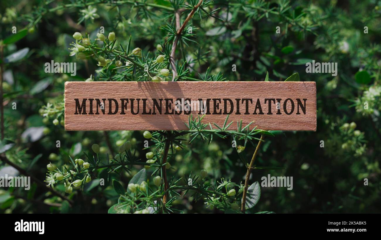 Meditazione della consapevolezza. Scritta su superficie di legno. Foglie dell'albero di sfondo. Salute mentale e stile di vita. Foto Stock