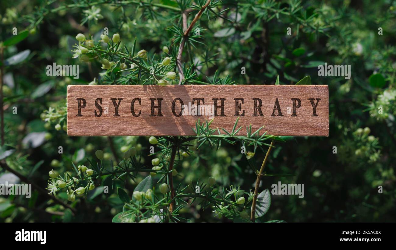 psicoterapia . Scritta su superficie di legno. Foglie dell'albero di sfondo. Problemi sanitari e sociali. Foto Stock