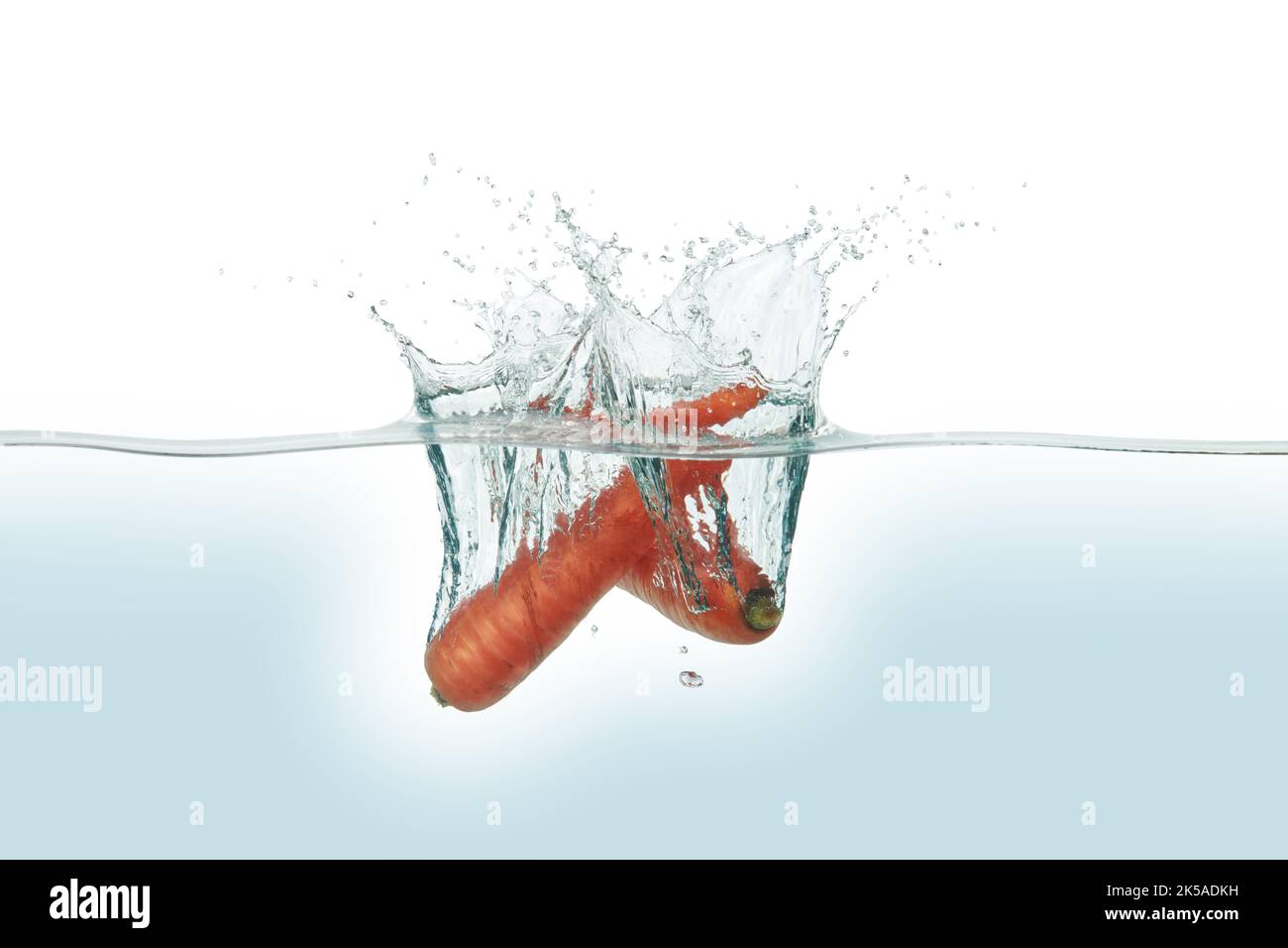 Due carote che spruzzano in acqua. Vista laterale su sfondo bianco. Foto Stock