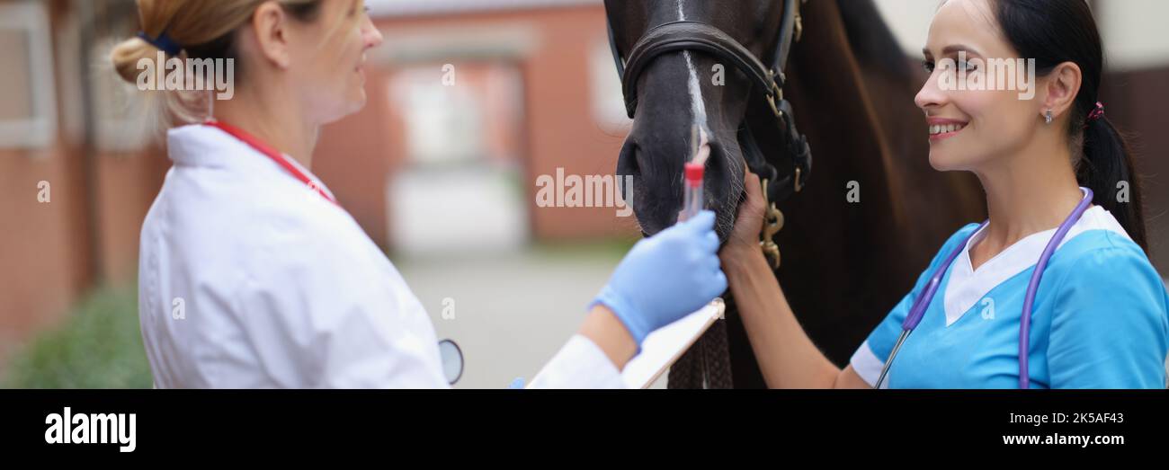 Donne veterinarie con provetta di analisi vicino a cavallo Foto Stock