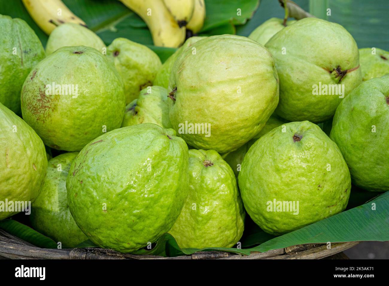 Guava intera verde o guajava in un mercato asiatico di cibo di strada Foto Stock