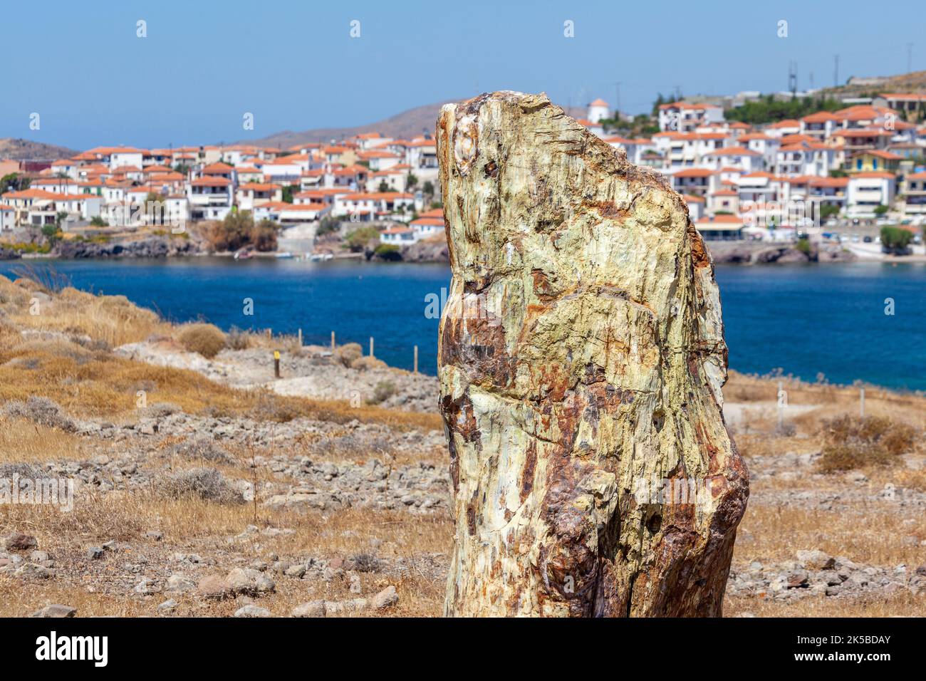 Tronco di albero pietrificato nella Foresta pietrificata dell'isola di Lesvos, vicino al villaggio di Sigri, Grecia. La foresta fa parte della Global Geoparks Network. Foto Stock