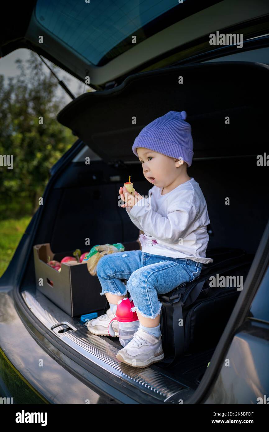 Un toddler asiatico che siede su una borsa in un tronco dell'automobile con le mele raccolte che godono la frutta Foto Stock