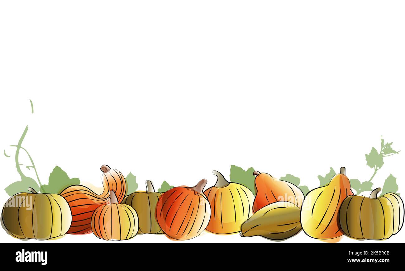 Set di zucche. Composizione autunnale acquerello con zucche. Modello per il festival Harvest o il giorno del Ringraziamento. Illustrazione Vettoriale