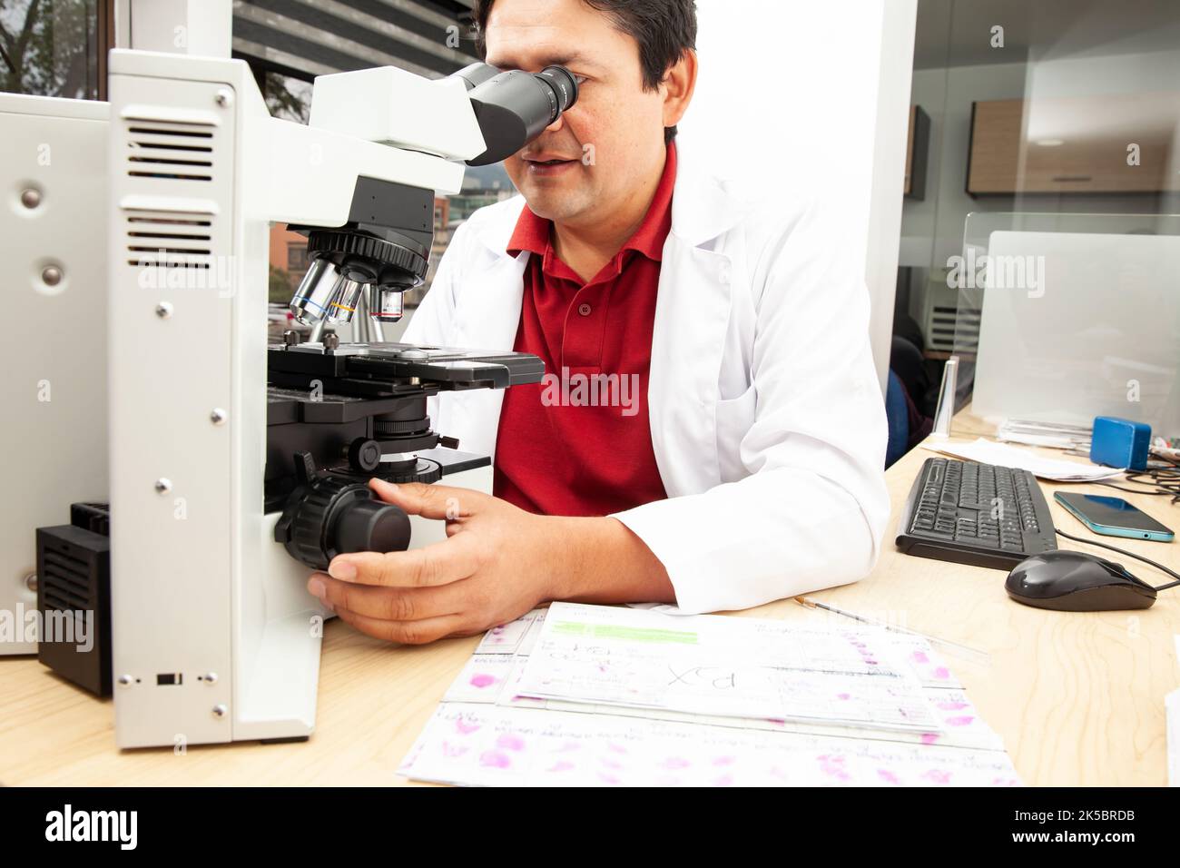 Patologo che lavora con biopsia tissutale colorata su vetrini di vetro in laboratorio. Concetto di diagnosi del cancro. Concetto medico. Foto Stock