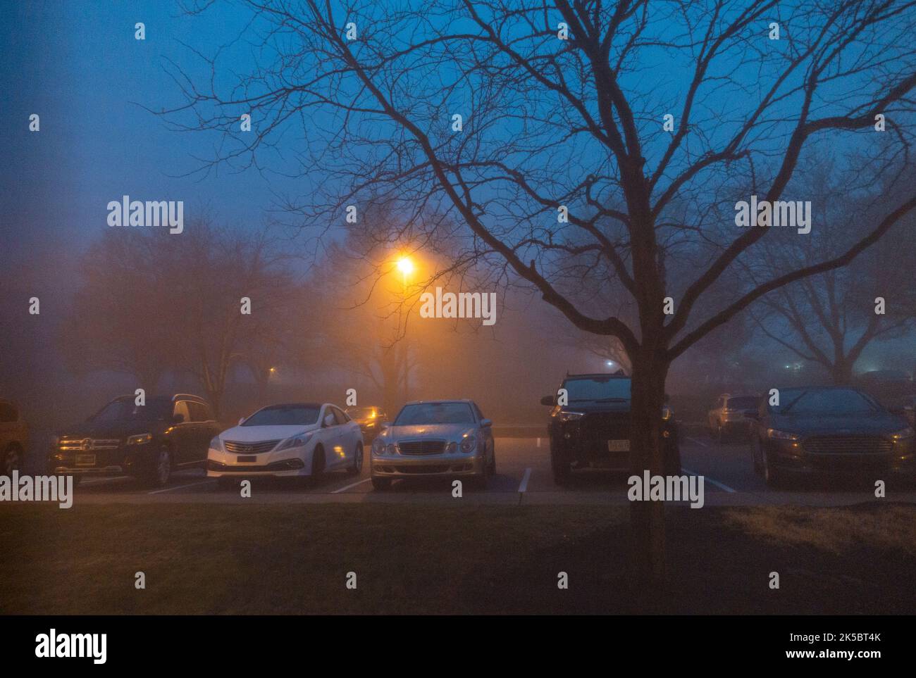 Auto in un parcheggio in prima mattina nebbia in Pennsylvania Foto Stock