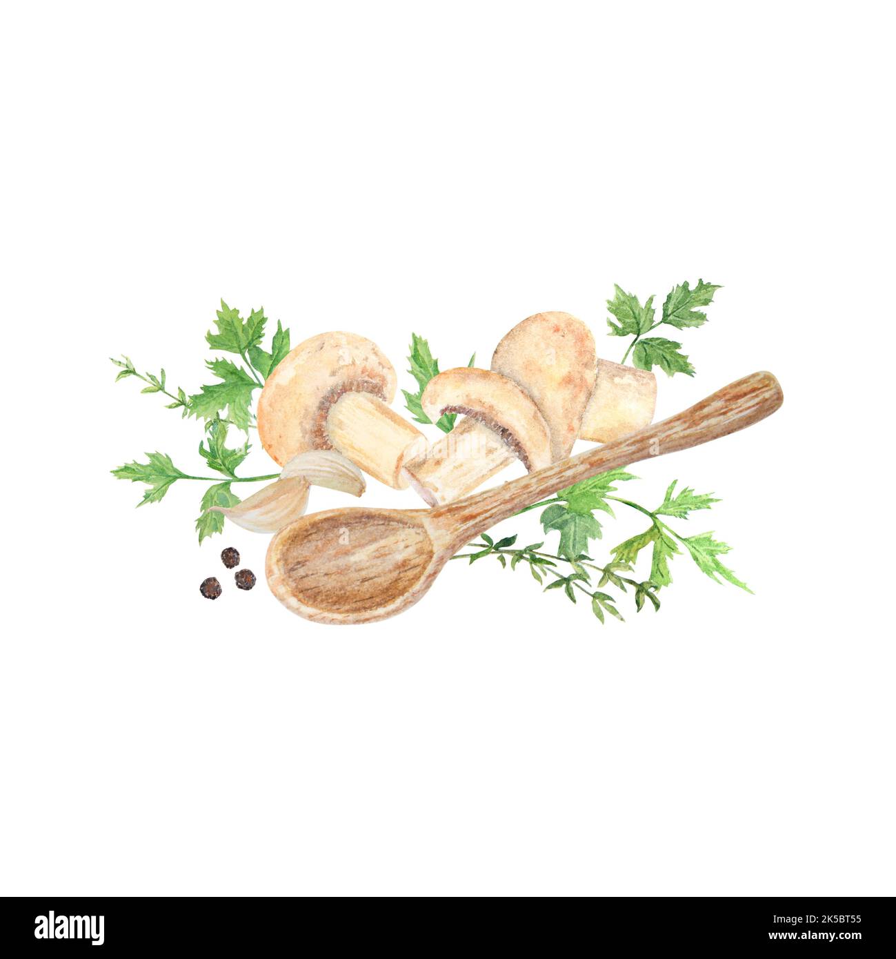 Acquerello illustrazione di champignons e foglie di prezzemolo verde, aglio, pepe, spoone di legno. Disegnato a mano in acquerello e isolato su un dorso bianco Foto Stock