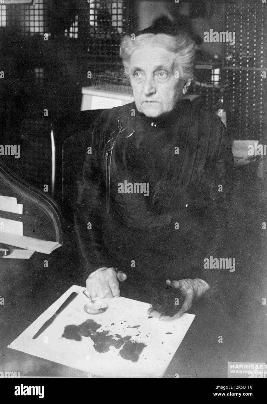 Sig.ra Brown del Dipartimento del Tesoro - identificazione delle fatture danneggiate per la redenzione, 1913. La banconota sembra essere stata bruciata. Foto Stock