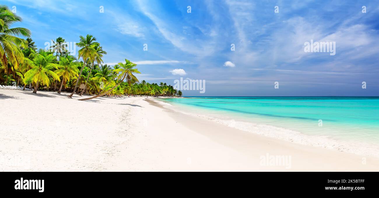 Panorama di spiaggia di sabbia bianca con palme da cocco nel mare dei Caraibi, isola di Saona. Repubblica Dominicana. Estate spiaggia sfondo vacanza. Foto Stock