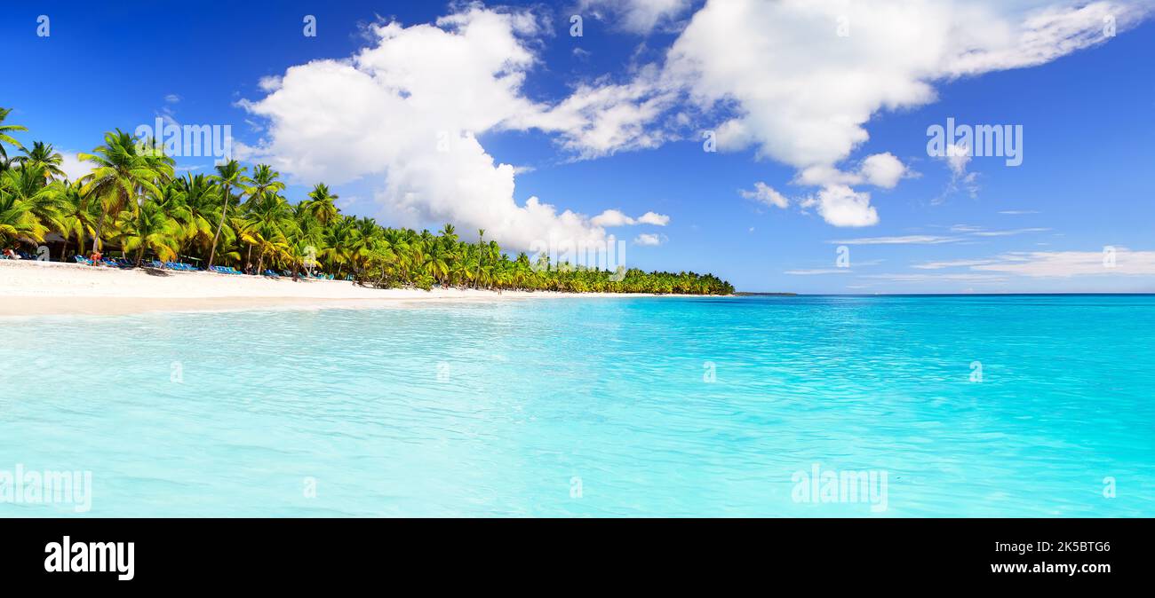 Panorama di palme da cocco sulla spiaggia di sabbia bianca dell'isola di Saona, Repubblica Dominicana. Vacanze di vacanza estate sfondo. Vista di una bella atmosfera tropicale Foto Stock