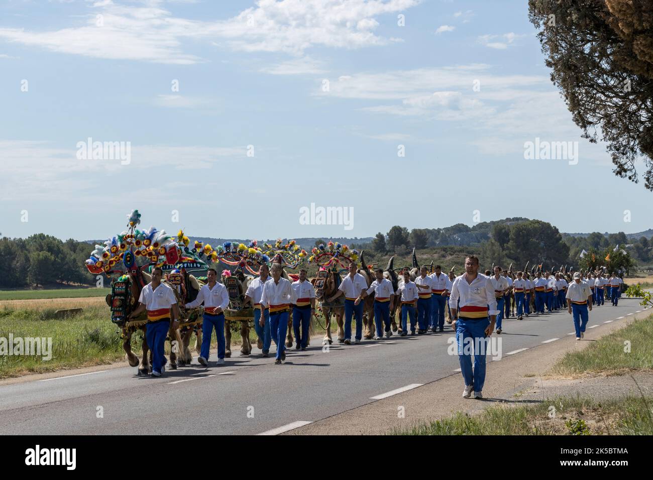 Carreto Ramado festival Maussane Francia Foto Stock