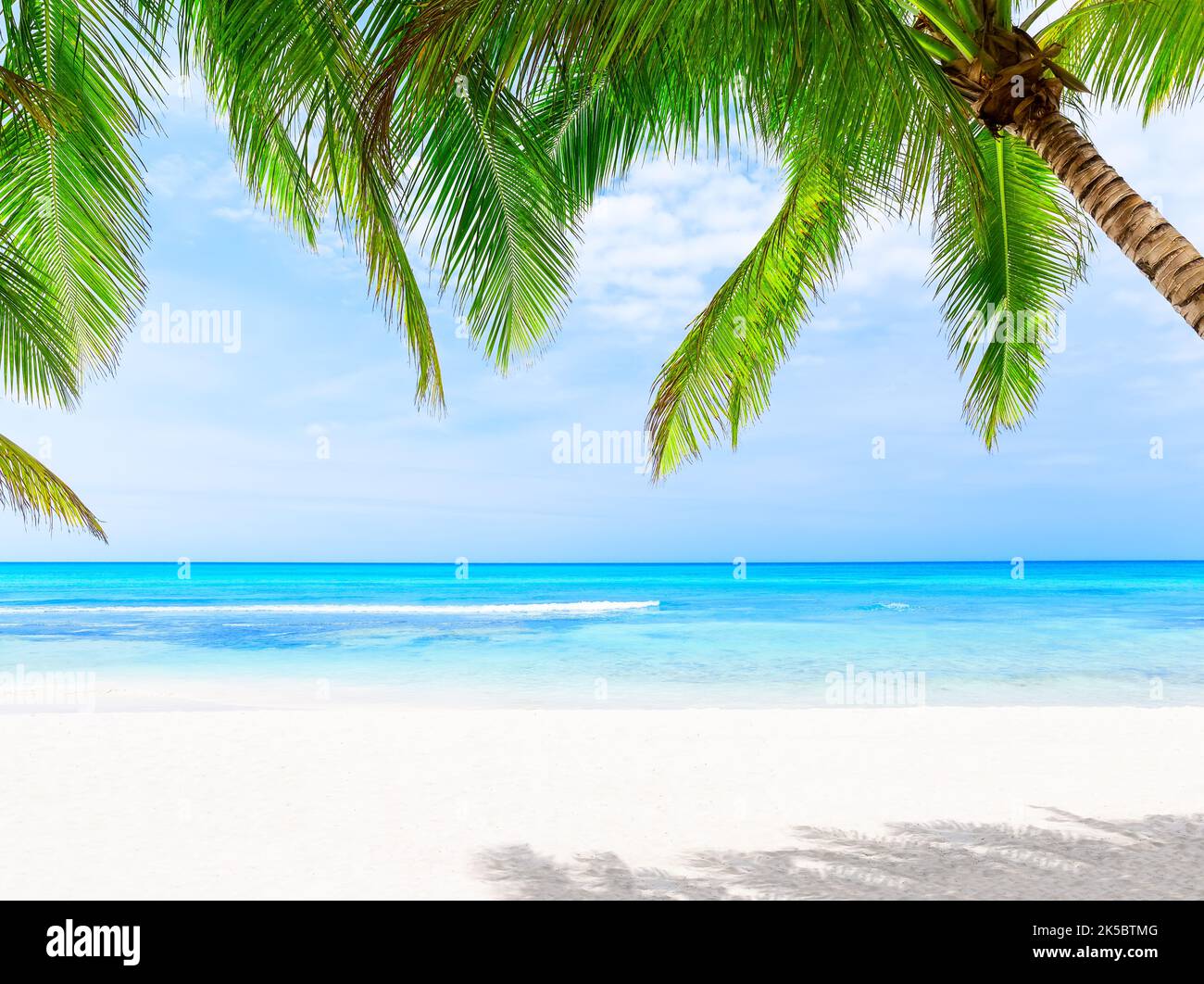 Palme da cocco contro il cielo blu e la bellissima spiaggia di Punta Cana, Repubblica Dominicana. Sfondo vacanze. Vista di un bel tropico Foto Stock