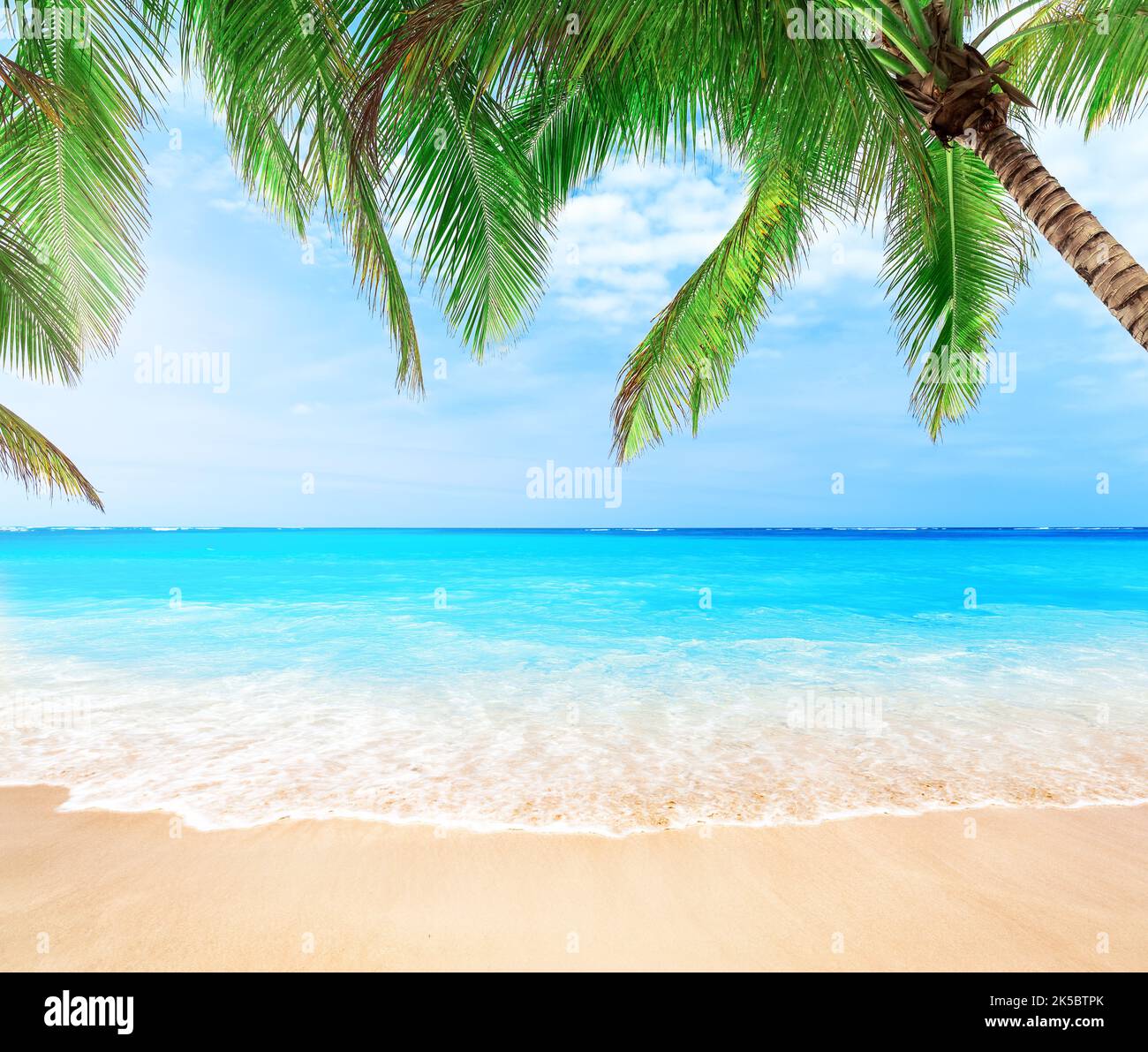 Palme da cocco contro il cielo blu e la bellissima spiaggia di Punta Cana, Repubblica Dominicana. Sfondo vacanze. Vista di un bel tropico Foto Stock