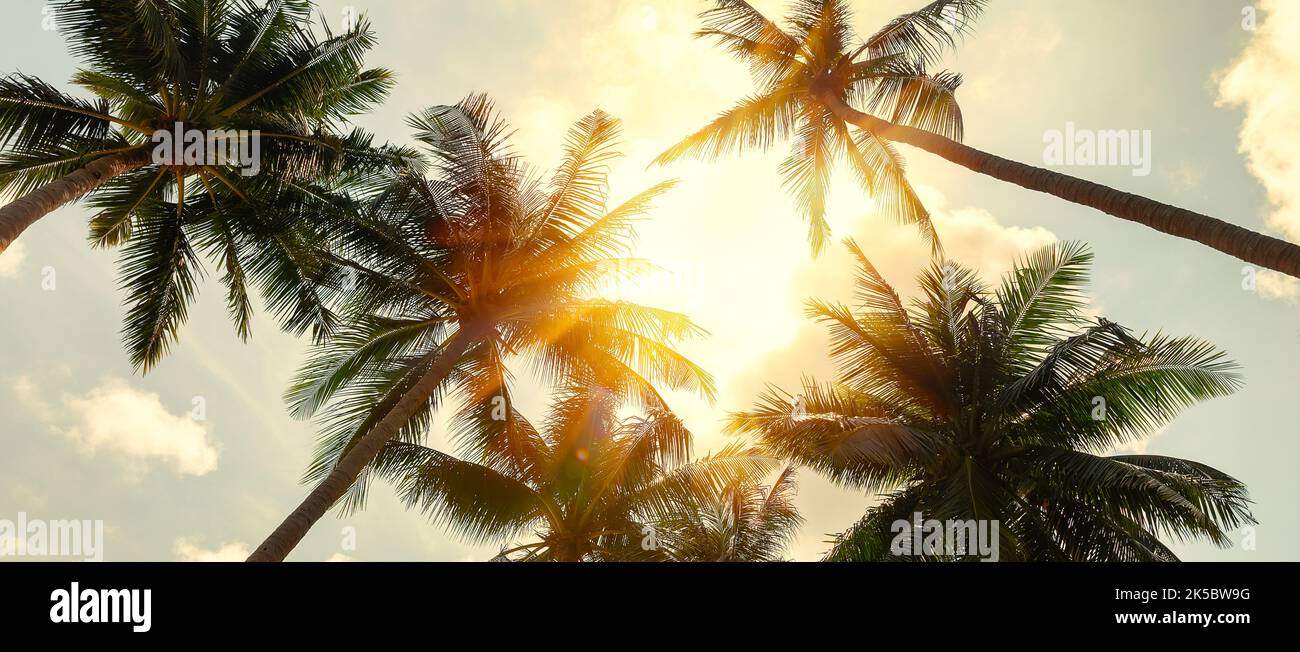 Panorama di bella spiaggia tropicale sfondo. Palme da cocco e nuvole sopra il cielo blu in tonalità vintage. Concetto di base di vacanza di estate. Foto Stock