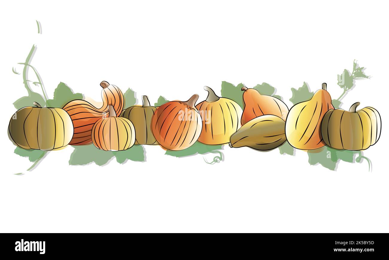 Set di zucche. Composizione autunnale acquerello con zucche. Modello per il festival Harvest o il giorno del Ringraziamento. Illustrazione Vettoriale