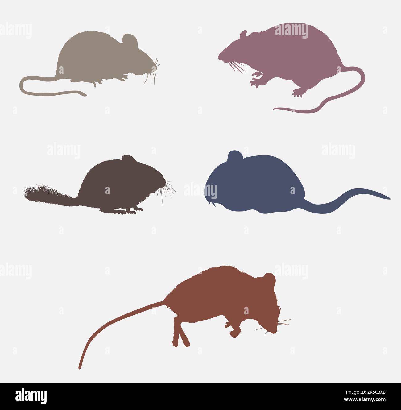 Ratto, mouse animale selvaggio colorato icona Set Illustrazione Vettoriale