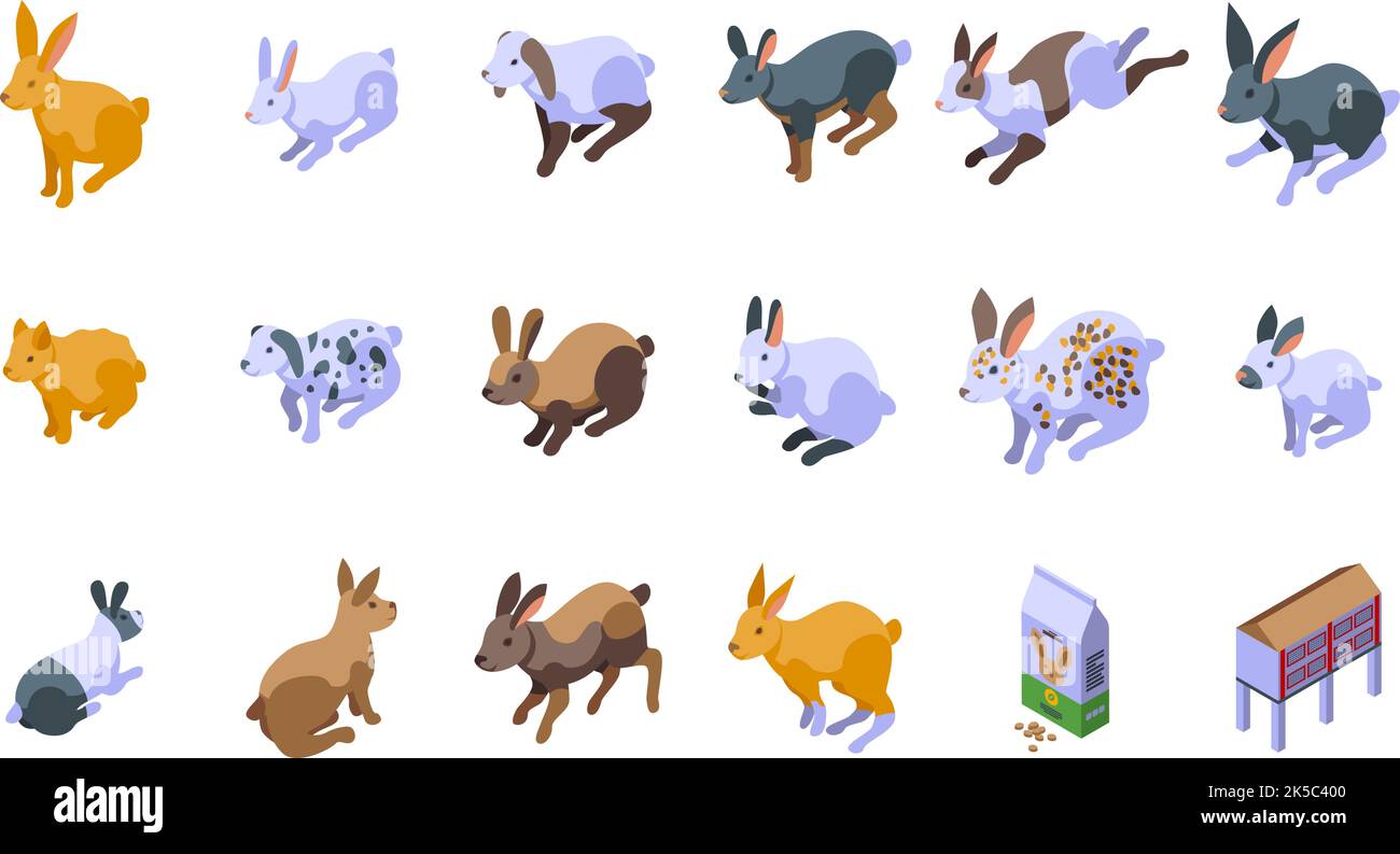 Le icone di allevamento di coniglio impostano il vettore isometrico. Animale olandese. Lepre Bunny Illustrazione Vettoriale
