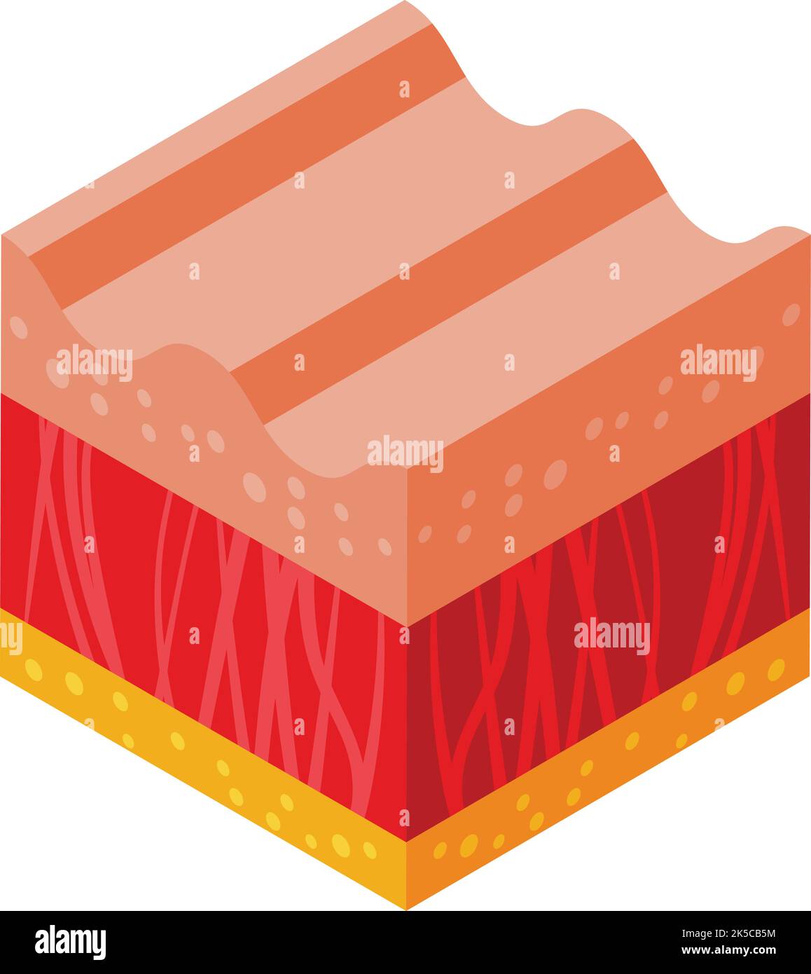 Icona sana skincare vettore isometrico. Pelle di collagene. Cellula di molecola Illustrazione Vettoriale