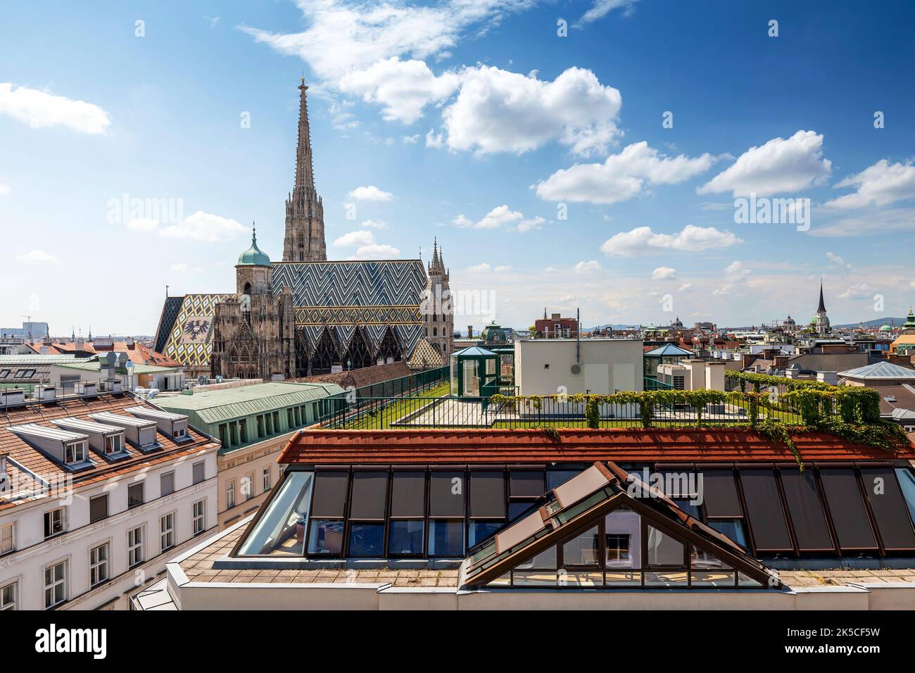 Sopra i tetti di Vienna con vista sulla Cattedrale di Santo Stefano Foto Stock