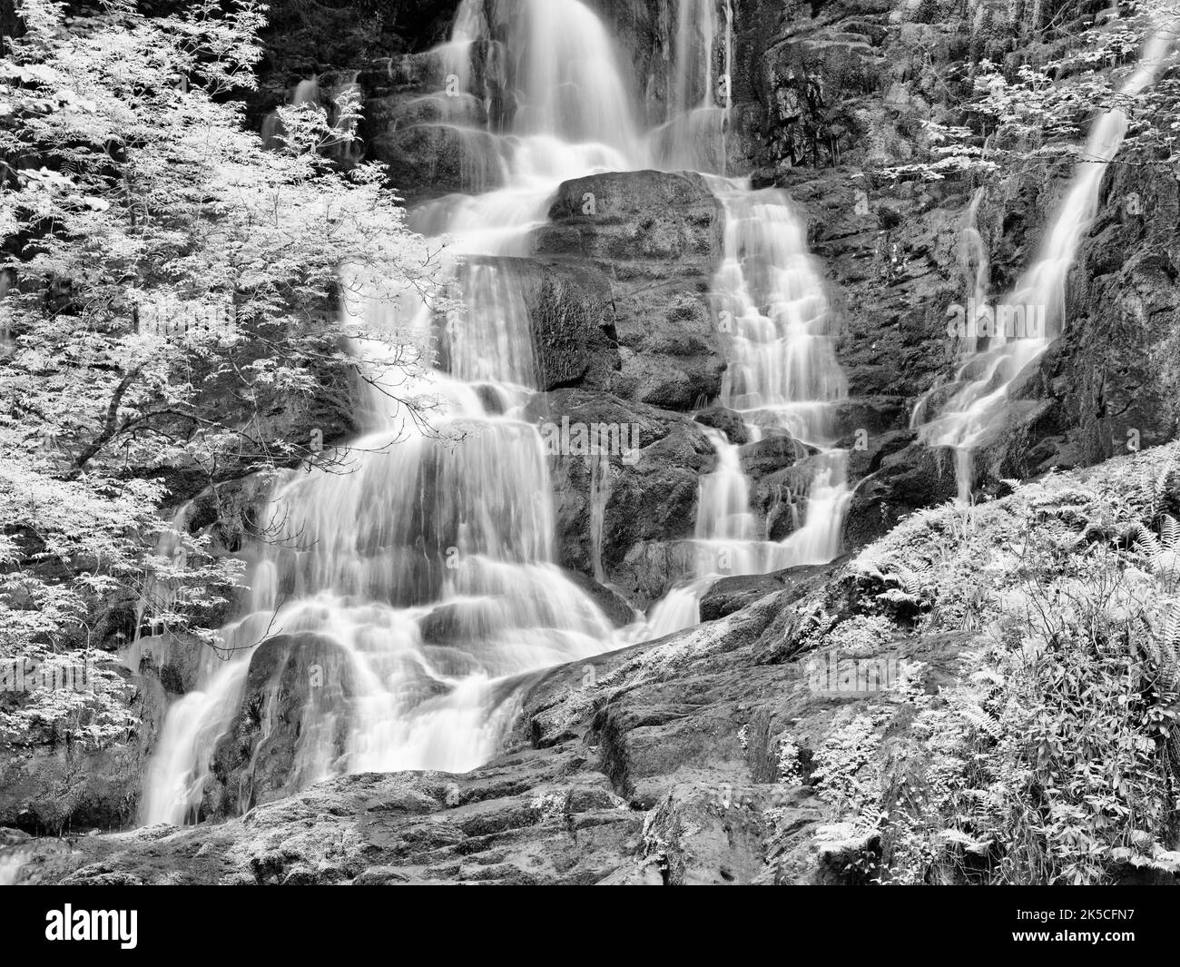 Europa, Europa occidentale, Irlanda, Repubblica d'Irlanda, Contea di Kerry, Killarney National Park, cascata di Torc nelle Torc Mountains Foto Stock Europa, Europa occidentale, Irlanda, Repubblica d'Irlanda, Contea di Kerry, Killarney National Park, cascata di Torc nelle Torc Mountains Foto Stock