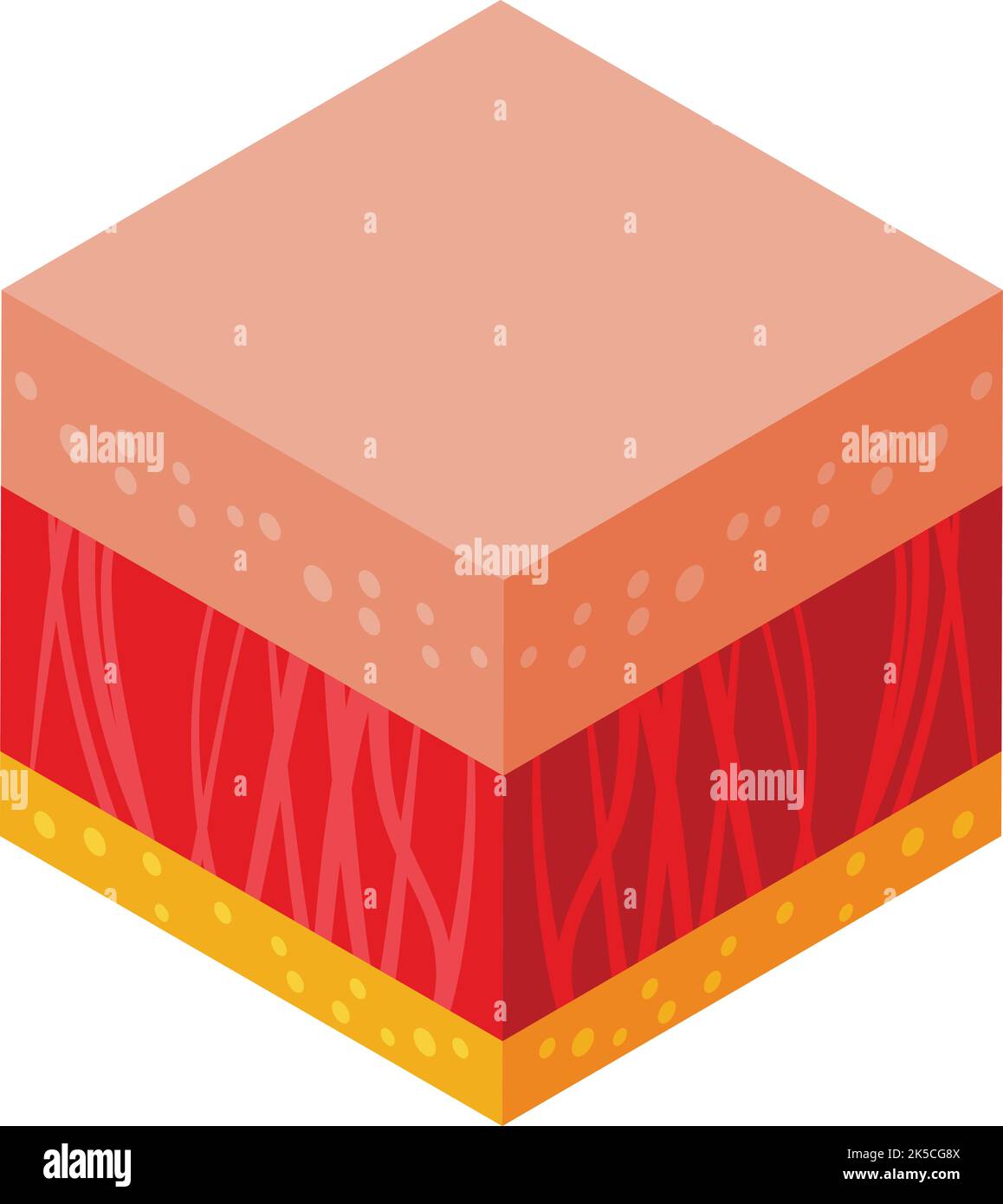 Vettore isometrico dell'icona della pelle. Molecola cellulare. Proteina dell'età Illustrazione Vettoriale