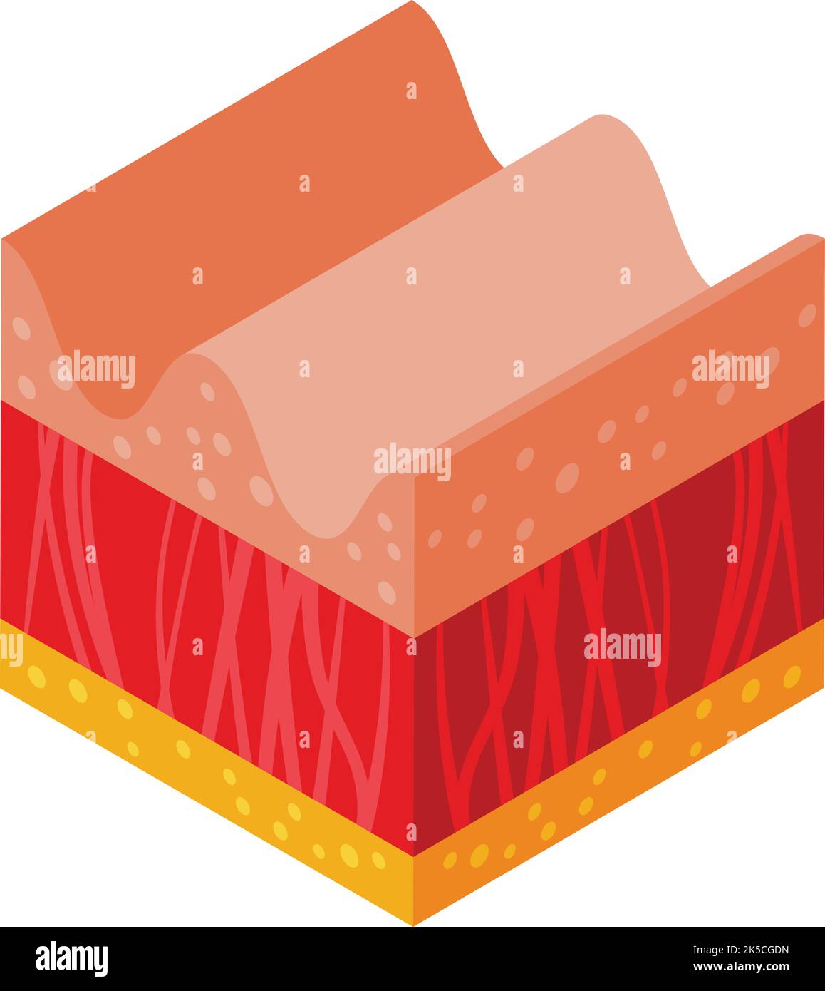 Vettore isometrico dell'icona della pelle vecchia. Cellula di molecola. Proteina dell'età Illustrazione Vettoriale