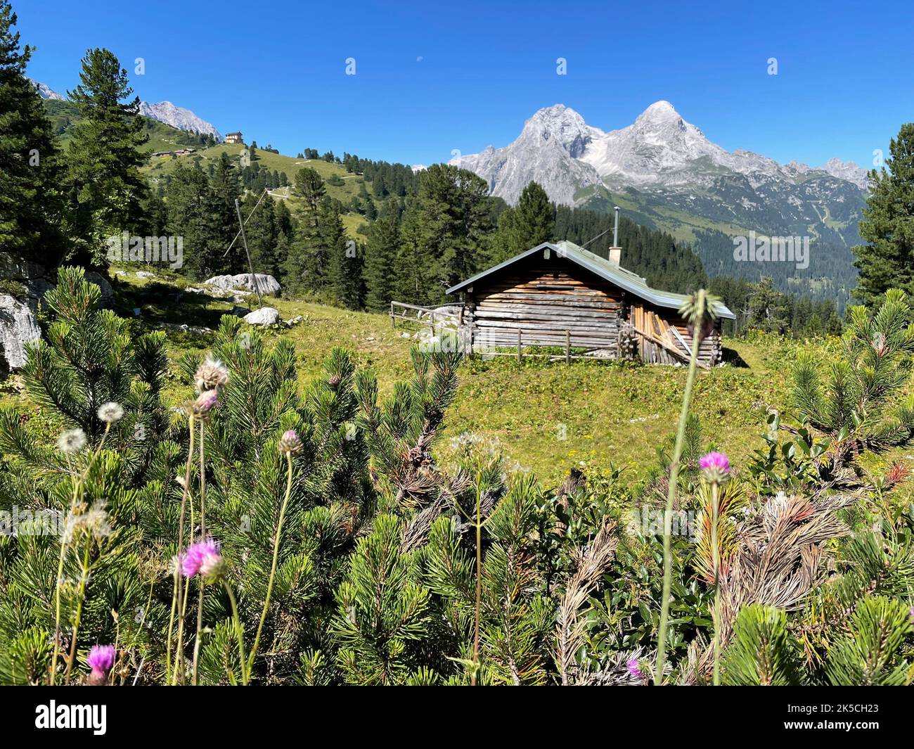 Vista a Schachenschloss, Königsweg, Schachen, Reintal, Alpspitze, Hochblassen, sentiero escursionistico, escursioni a piedi, in bicicletta, natura, Montagne, cielo blu, attività, Wettersteingebirge, Werdenfelser Land, Elmau, Oberes Isartal, Alpenwelt Karwendel, alta Baviera, Germania Foto Stock