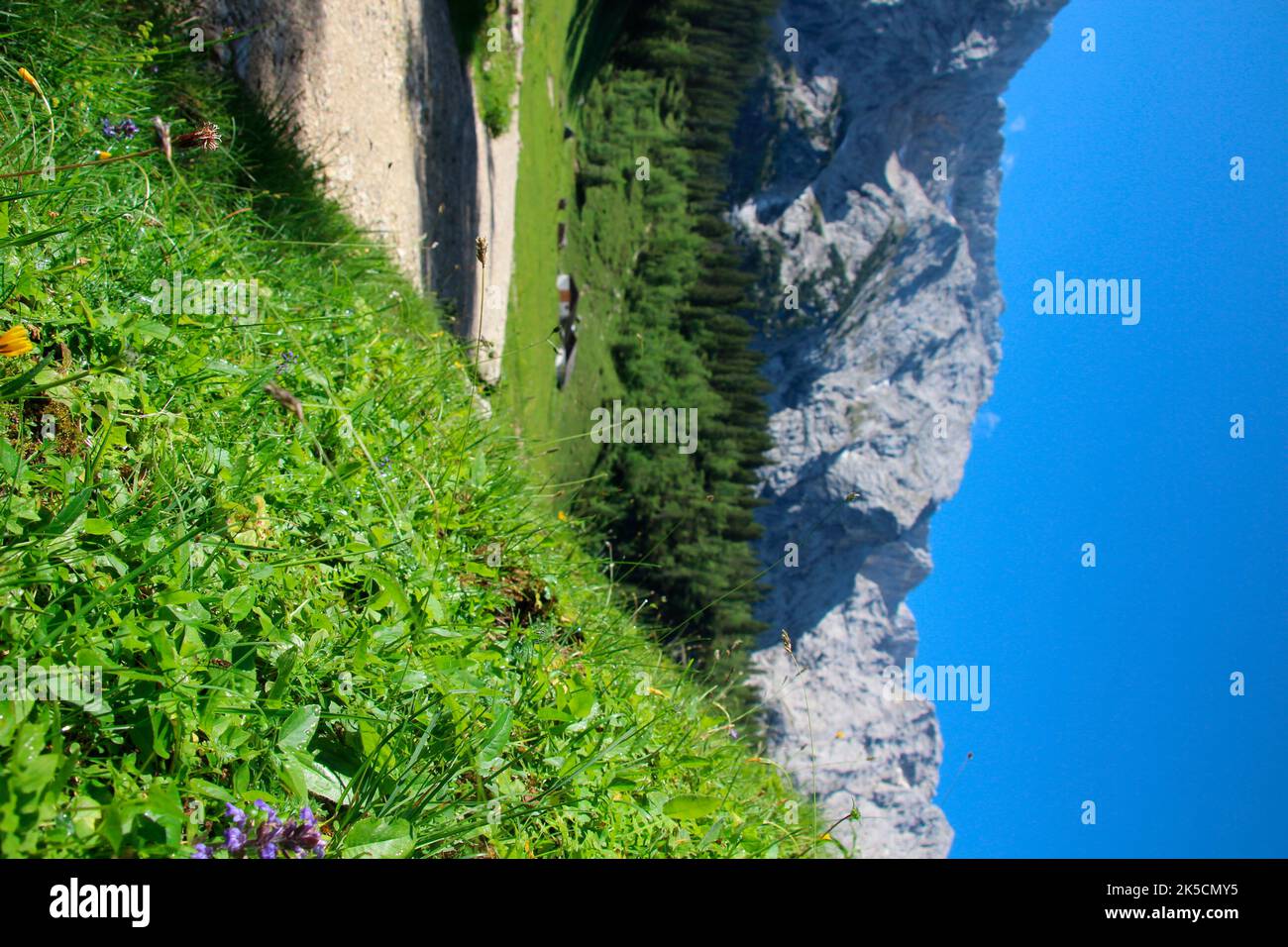 Wettersteinalm 1464m, clima estivo, Germania, Baviera, Werdenfels, Montagne di Wetterstein, Wetterstein, Garmisch-Partenkirchen Foto Stock