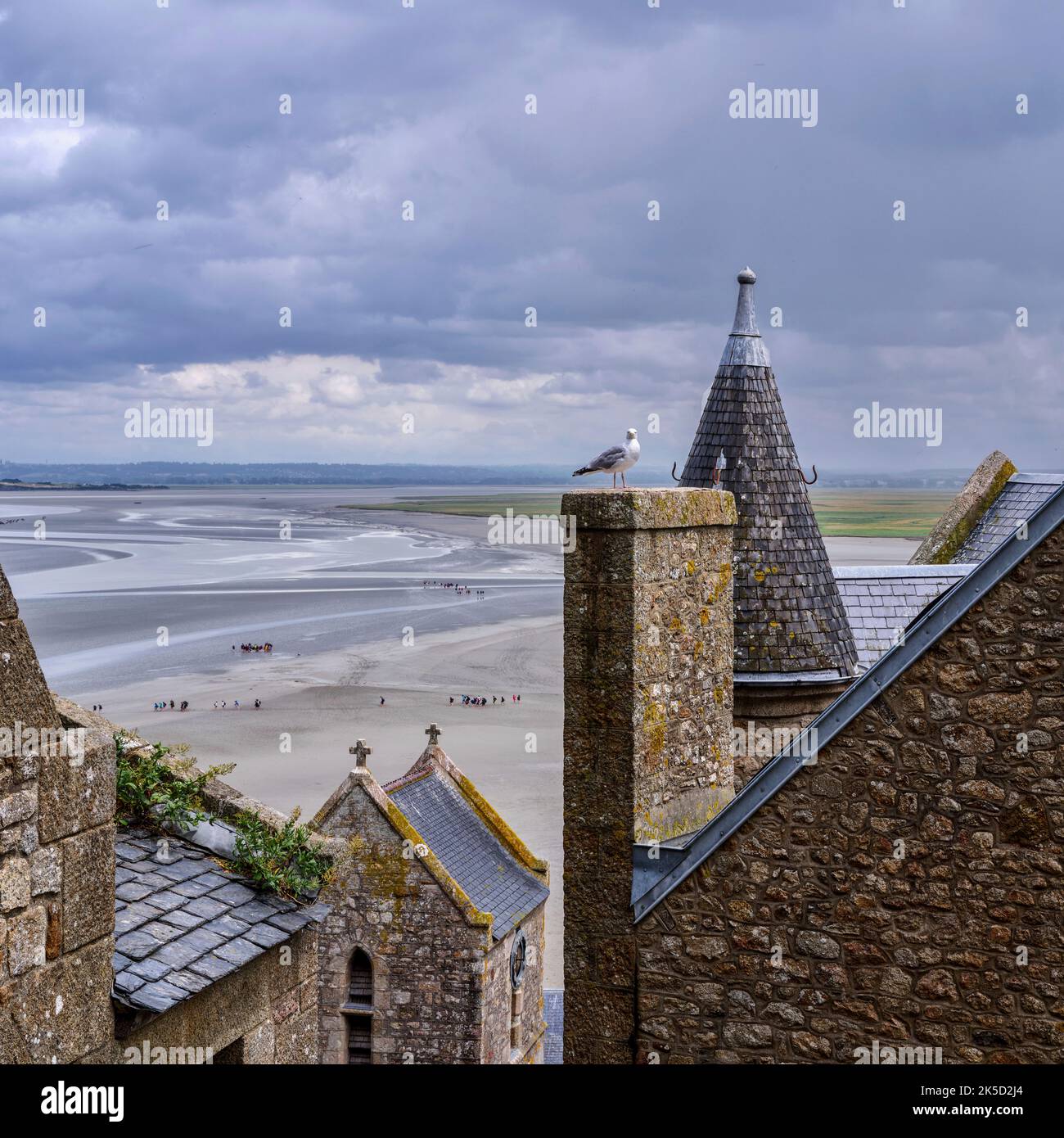 Bassa marea a Mont Saint-Michel, Normandia, Francia Foto Stock