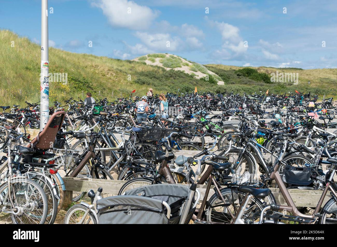 Paesi Bassi, Texel, punta del nord, spiaggia di balneazione, duna, ampio parcheggio per biciclette Foto Stock