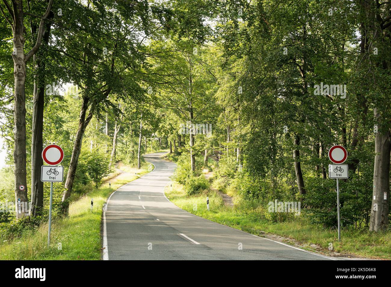 Germania, Foresta di Teutoburg, strada forestale, serpentine, passaggio vietato Foto Stock