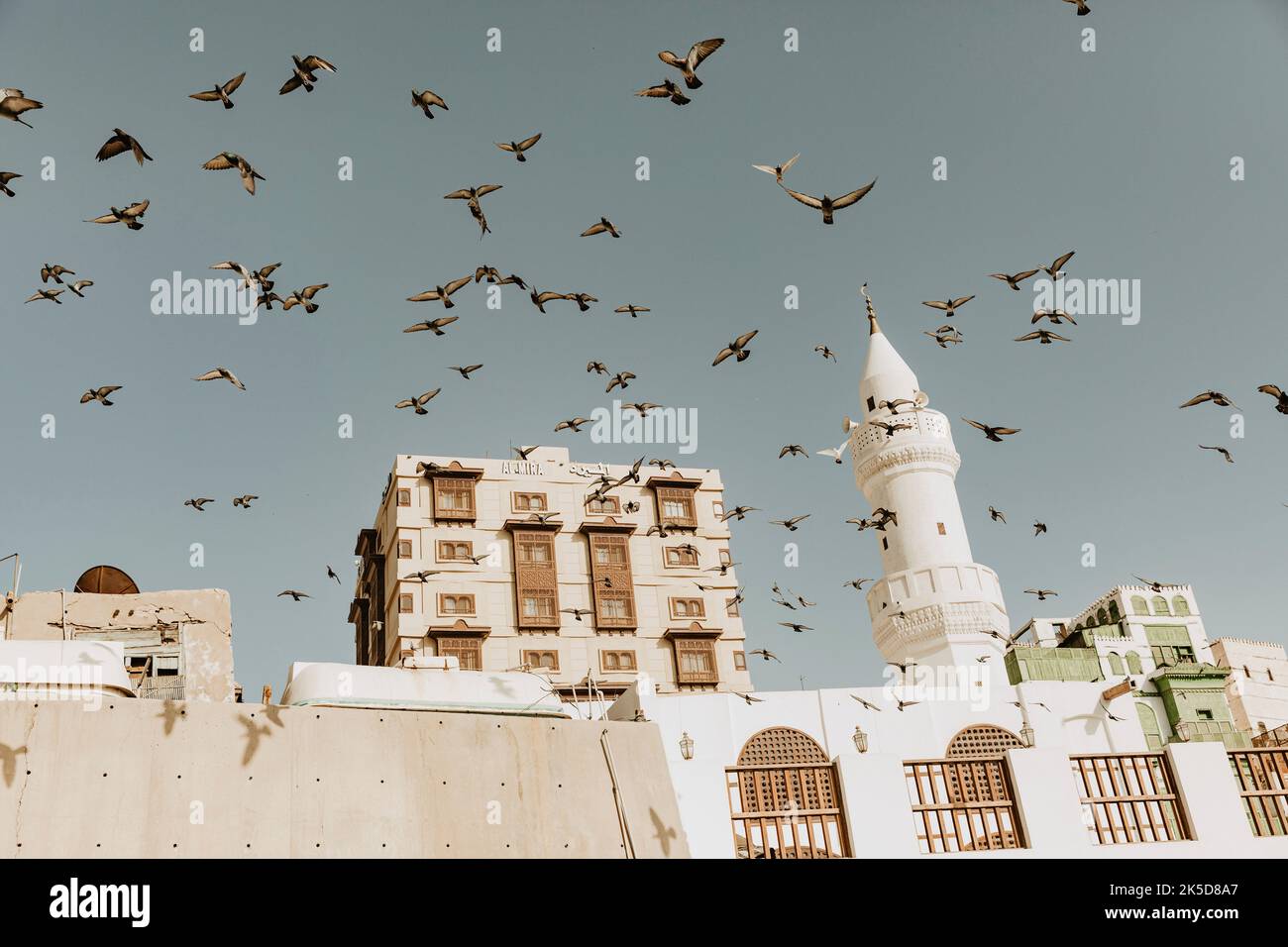 Arabia Saudita, provincia della Mecca, Jeddah/Jeddah, centro città, edifici residenziali, piccioni Foto Stock