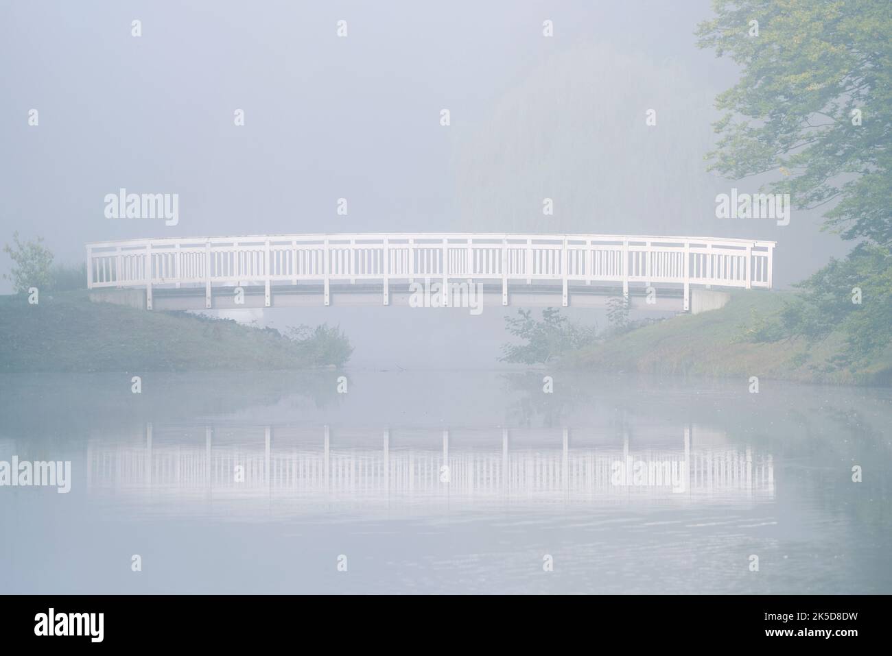 Stagno e ponte nella nebbia mattutina, Hamm parco termale, Nord Reno-Westfalia, Germania Foto Stock