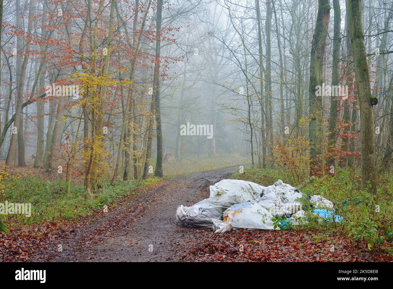 Inquinamento ambientale, smaltimento illegale di rifiuti su un percorso forestale, Renania settentrionale-Vestfalia, Germania Foto Stock