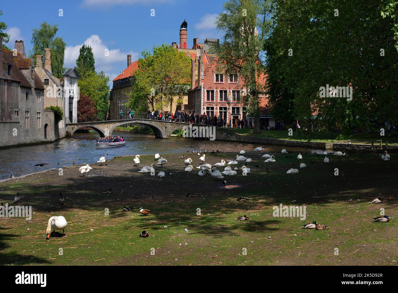 Minnewwater e Beguinage, Bruges, Fiandre Occidentali, Fiandre, Belgio Foto Stock
