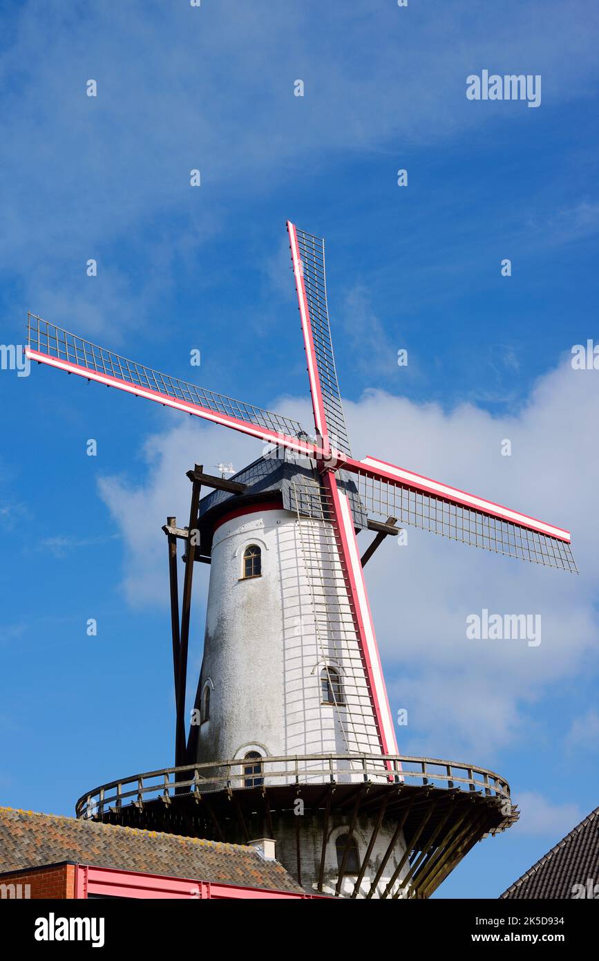 Mulino a vento Zandwegemolen, Bruges, Fiandre Occidentali, Fiandre, Belgio Foto Stock