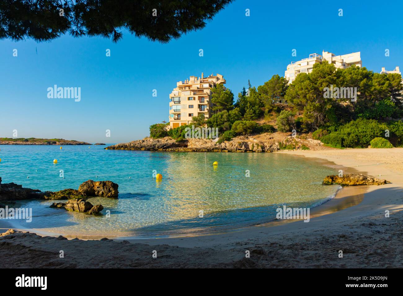 Spiaggia di SES Illetes circondata da pini, con l'isola di SA Caleta di fronte, a Palma di Maiorca, Spagna Foto Stock