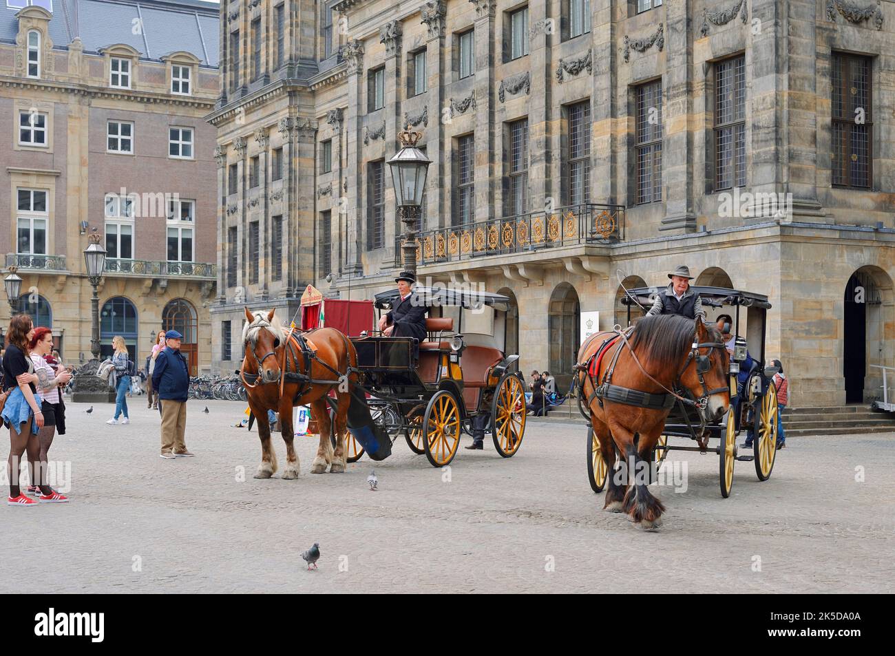 Carrozze trainate da cavalli a Paleis op de Dam, Palazzo reale, Amsterdam, Olanda del Nord, Paesi Bassi Foto Stock