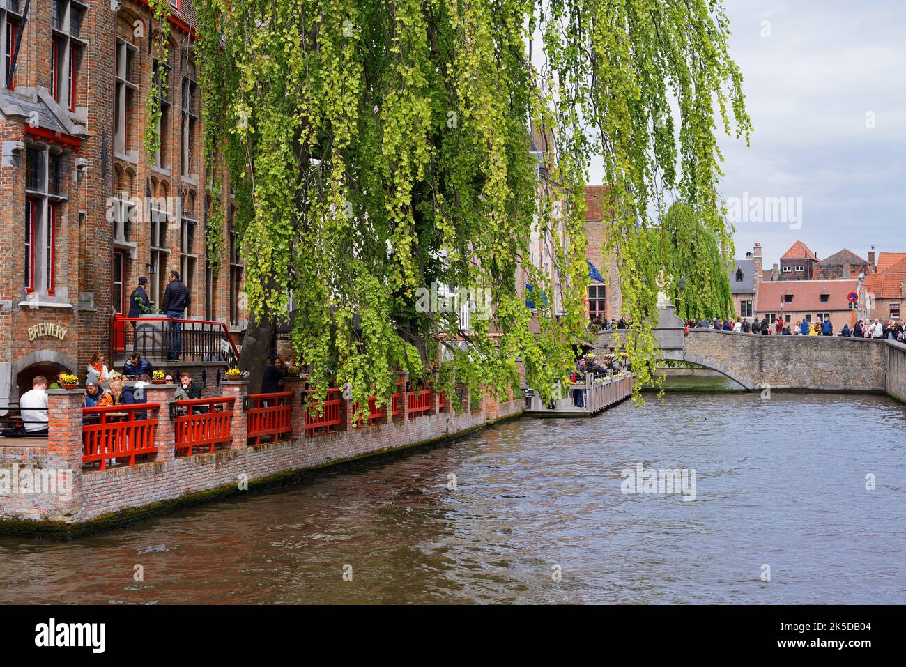 Ristorante sul canale, Dijver, Bruges, Fiandre Occidentali, Fiandre, Belgio Foto Stock