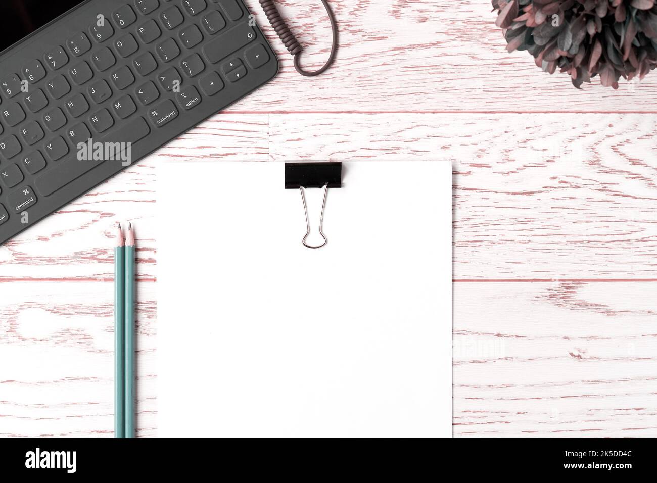 Piano scrivania di design. Tastiera per notebook, carte da disegno, matite, piante da casa. Foto Stock