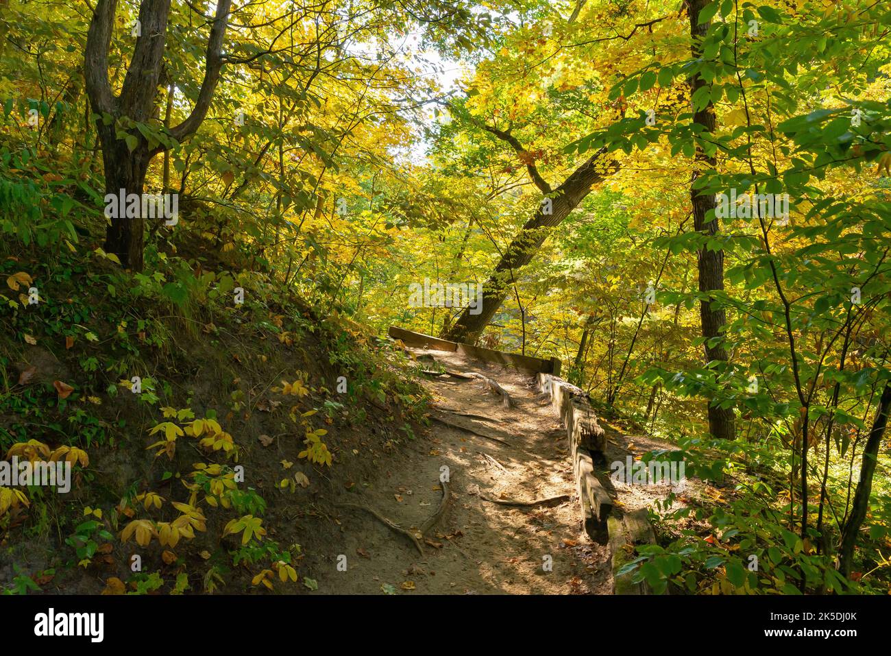 Sentiero escursionistico attraverso il paesaggio autunnale allo Starved Rock state Park, Illinois, USA. Foto Stock