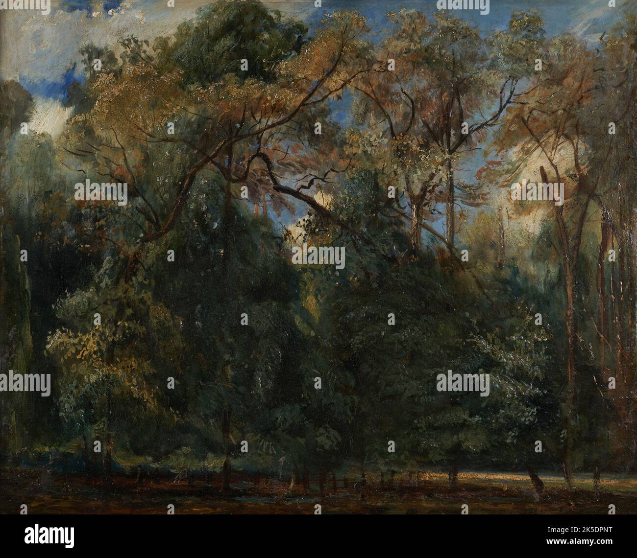 Les ormes de Saint-Cloud, 1823. Gli alberi di olmo di Saint-Cloud. Il groviglio dei rami e del fogliame dei grandi elmi maschera parzialmente il cielo luminoso che illumina lo sfondo. Foto Stock