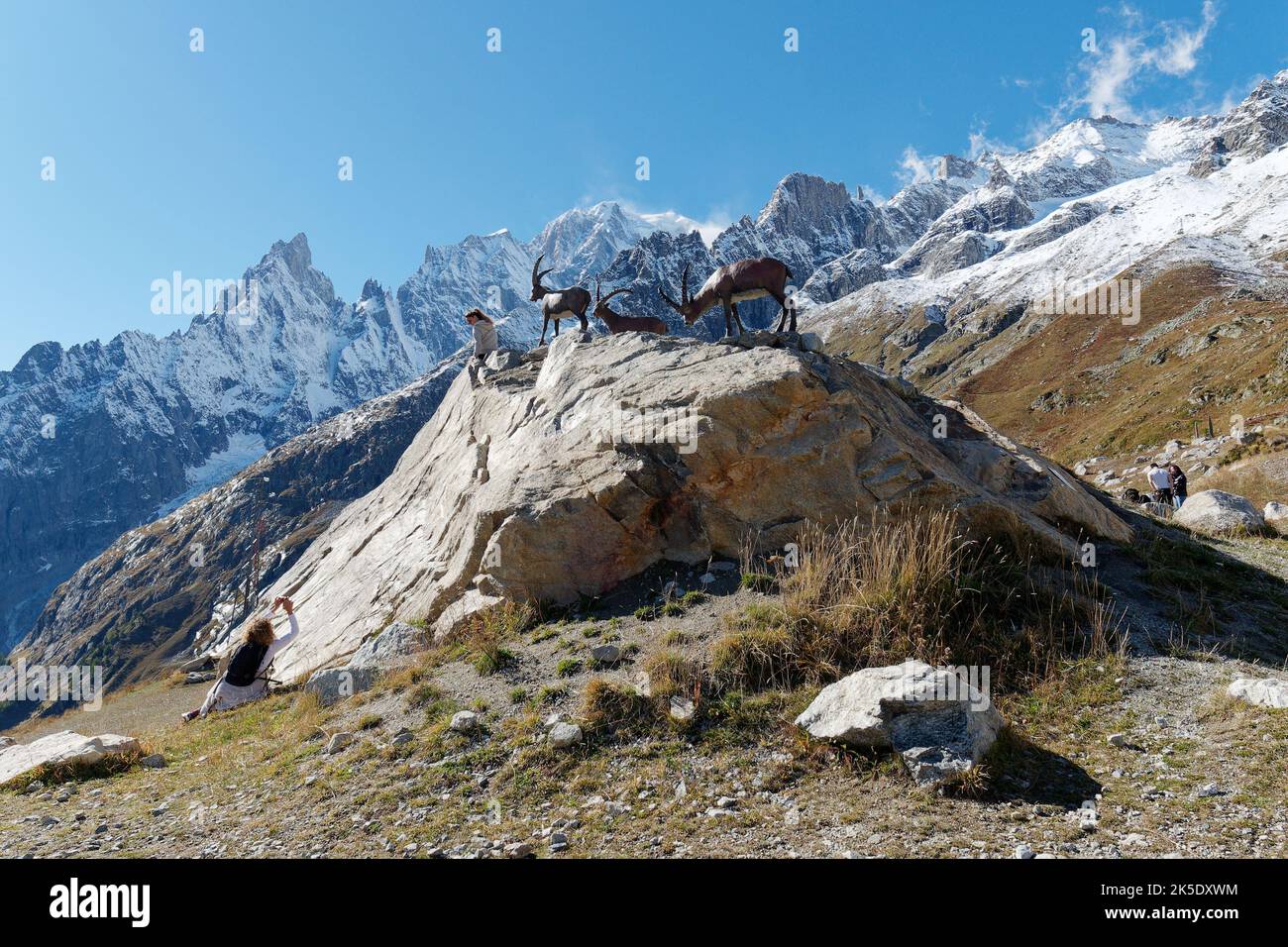 Scenario al di fuori del punto intermedio della funivia Monte Bianco, Valle d'Aosta Italia. Le donne prendono foto da statue di capra. Foto Stock