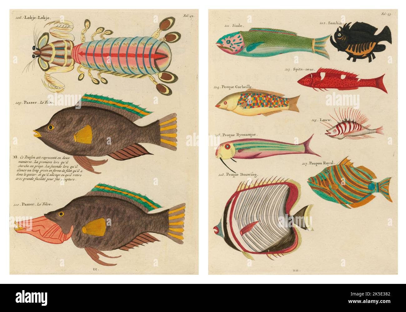 Antiche illustrazioni di pesci, granchi e gamberi con annotazioni in francese. Da Poissons di Louis Renard, Ecrevisses et Crabes, pubblicato nel 1754. Incisioni in rame colorato disposte affiancate in 2 pagine dal titolo originale. Foto Stock
